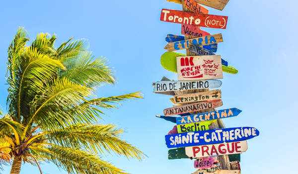 a sign on a pole next to a palm tree